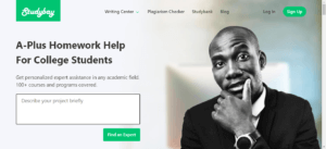 Studybay Review: My Experience After Giving It a Chance